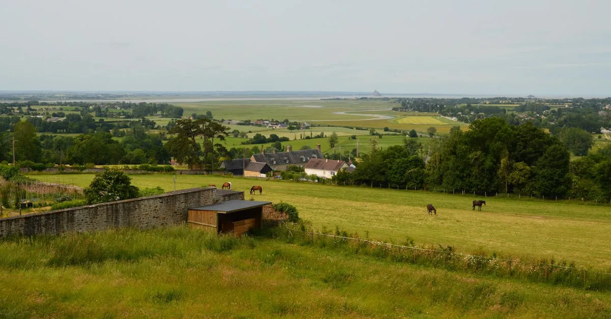 découvrez nos lodges confortables en normandie, alliant charme et détente pour un séjour inoubliable au cœur de la nature normande.