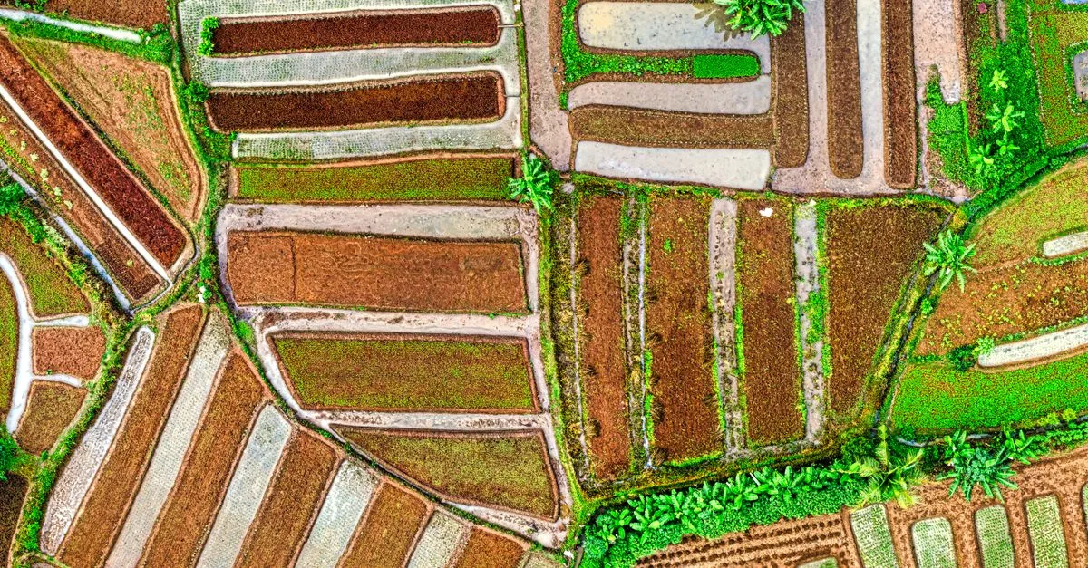 découvrez l'agriculture écologique, une méthode durable qui respecte l'environnement, favorise la biodiversité et promeut des pratiques agricoles responsables pour un futur sain.