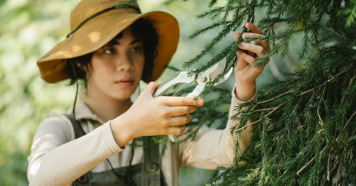 techniques et conseils pour la taille des plantes afin de favoriser leur croissance et leur santé.