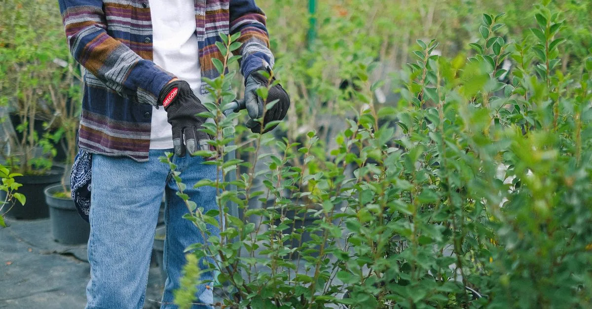 découvrez nos conseils essentiels pour la taille des plantes afin de favoriser leur croissance saine et leur floraison optimale.